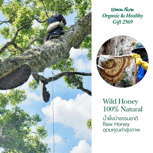 Gift Set C2 น้ำผึ้งป่าเดือนห้า Premium Wild Honey 700 g