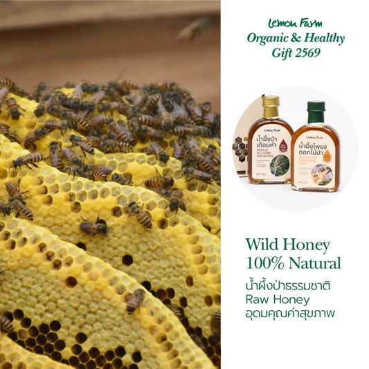 Gift Set C1 น้ำผึ้งป่าเดือนห้า+น้ำผึ้งโพรงดอกไม้ป่า (2x280g)