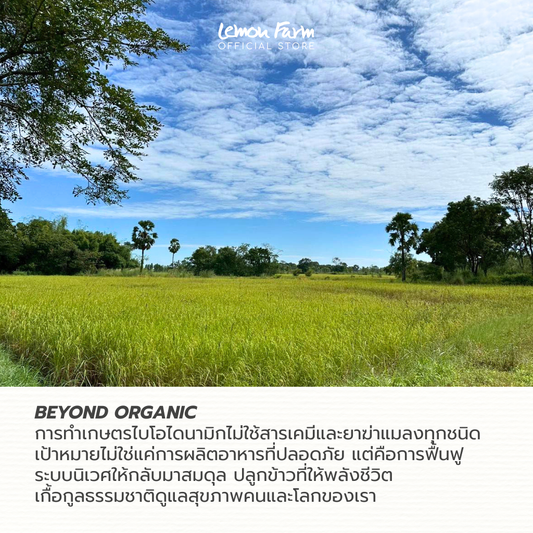 Biodynamic Organic Jasmine Rice Broken 1 Kg