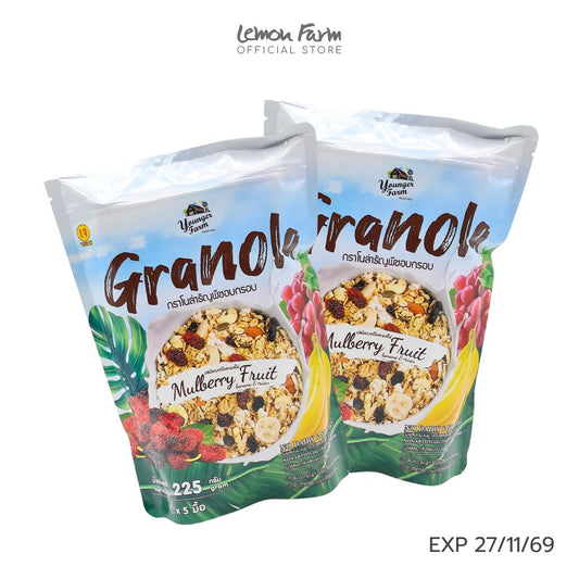 Granola Mulberry Fruit Buy 2 Special
