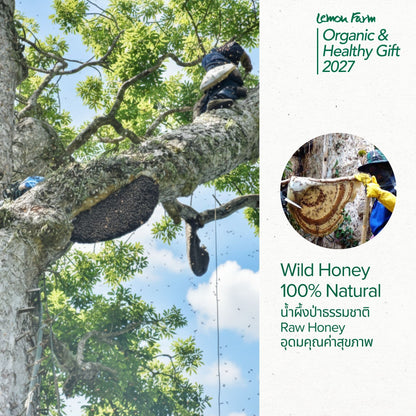ของขวัญสุขภาพน้ำผึ้งป่าเดือนห้า 320g Raw Honey