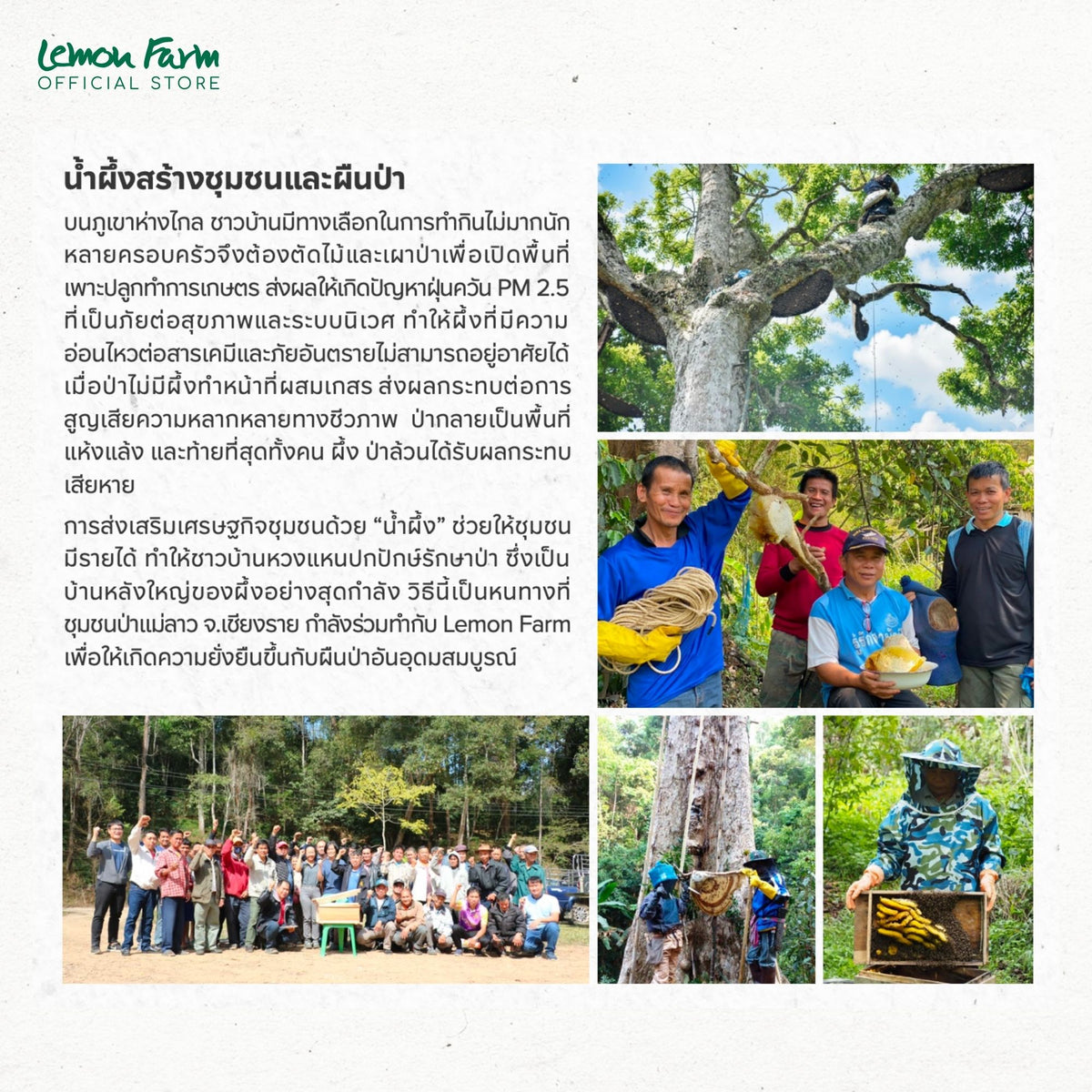 ของขวัญสุขภาพน้ำผึ้งป่าเดือนห้า 320g Raw Honey