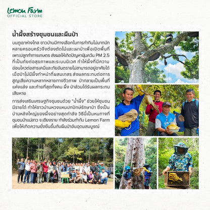 ของขวัญสุขภาพน้ำผึ้งป่าเดือนห้า 320g Raw Honey