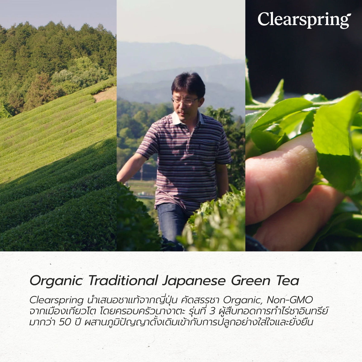 ของขวัญสุขภาพ C9 Organic Japanese Tea Gift Collection