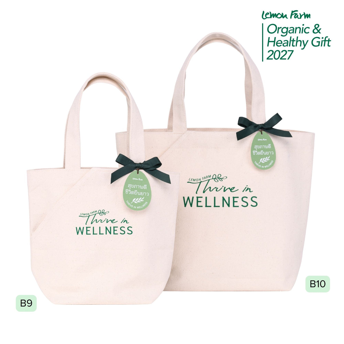 ของขวัญสุขภาพ กระเป๋า Canvas Wellness Tote (M) B10