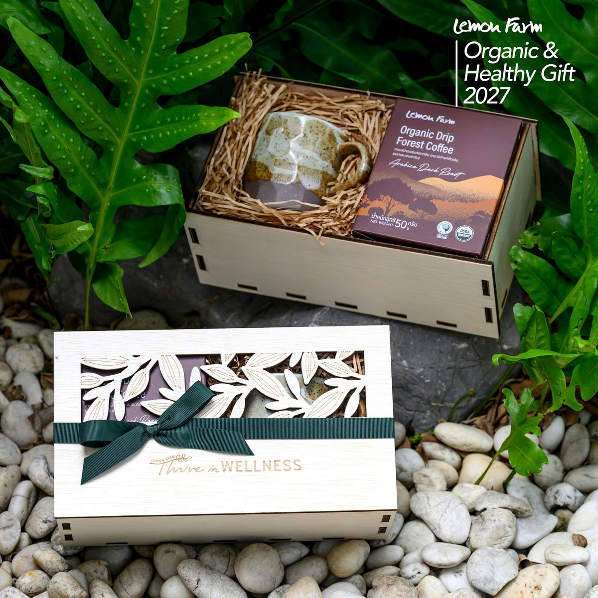 ของขวัญสุขภาพ Organic Forest Coffee Set C2