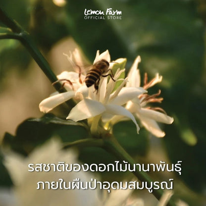 Premium Wild Honey 700 g