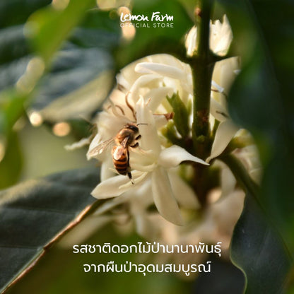 Premium Wild Honey 130 g