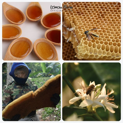 Premium Wild Honey 130 g