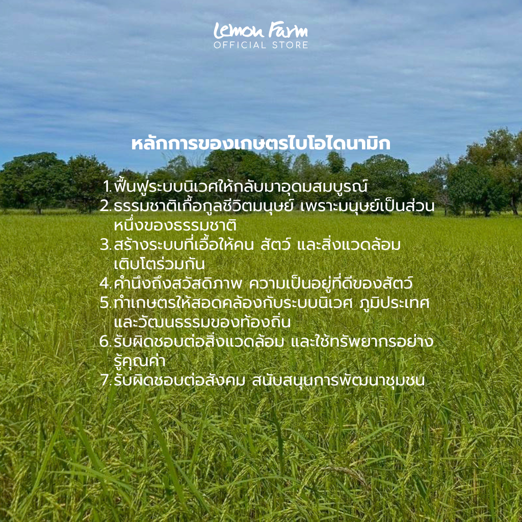 ปลายข้าวหอมมะลิอินทรีย์ไบโอไดนามิก 1 Kg