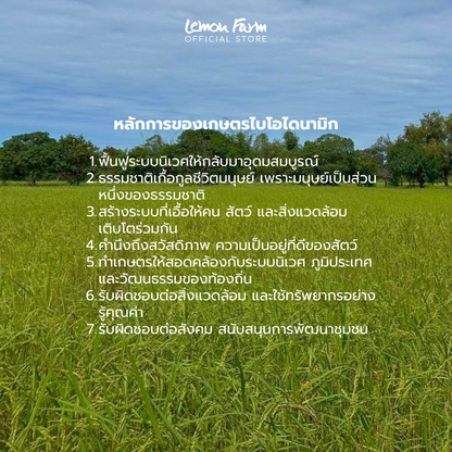 ปลายข้าวหอมมะลิอินทรีย์ไบโอไดนามิก 1 Kg