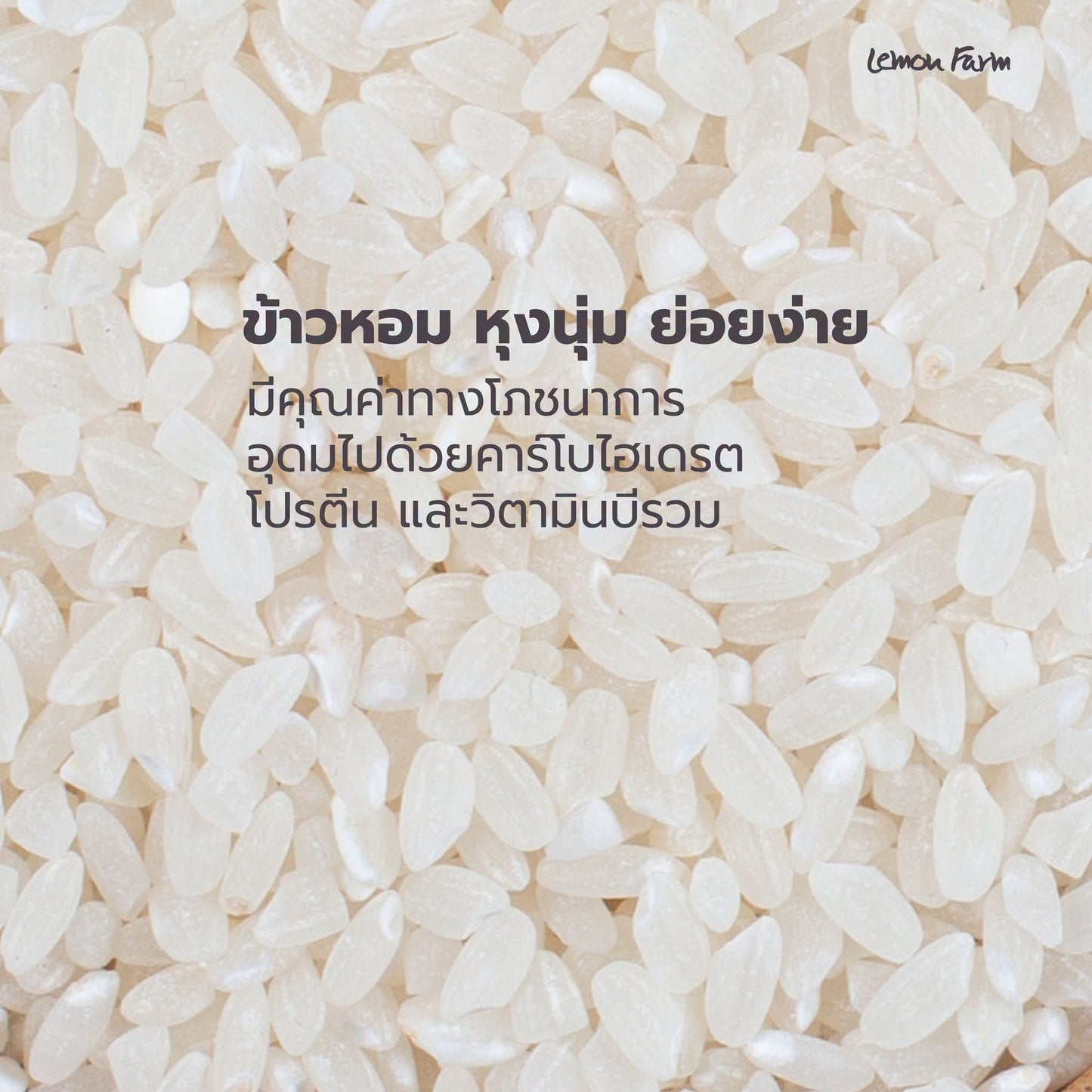 ข้าวโจ๊ก ปลายข้าวหอมมะลิอินทรีย์ไบโอไดนามิก 1 Kg