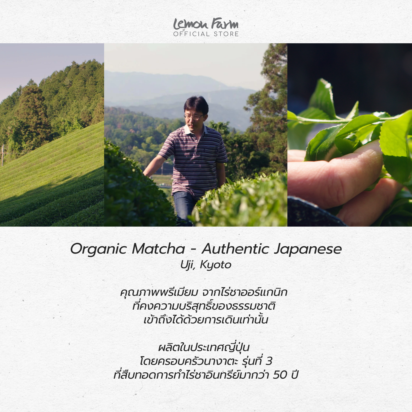 Organic Japanese Genmaicha - 20 Sachets (36g)